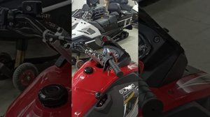 Снегоход Woideal Барс WD 180 EFI