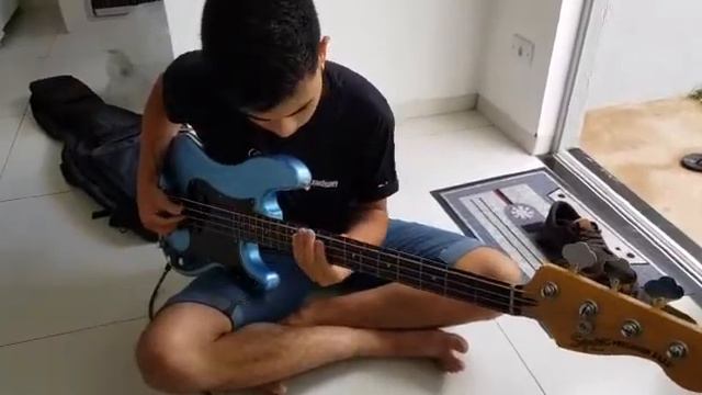 Teste 2 Squier Fender Precision Bass PJ смотреть онлайн