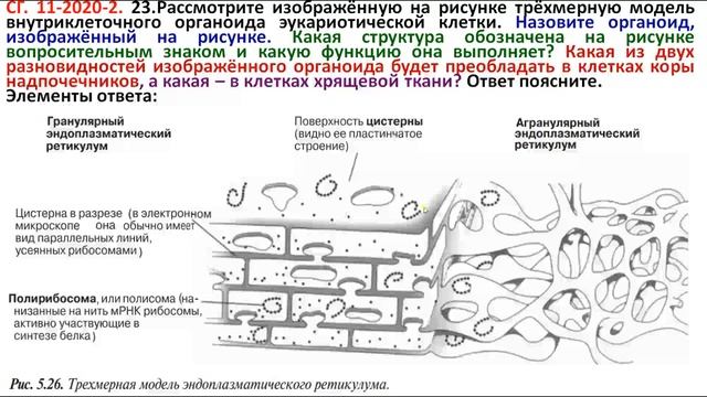 ВАРИАНТ №2. СТАТГРАД. НОЯБРЬ 2020. ПОДРОБНЫЙ РАЗБОР смотреть онлайн