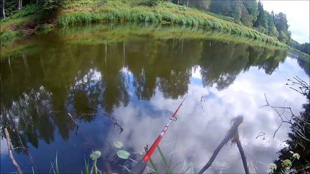 Отличная рыбалка на реке Плюсса, Псковской области. смотреть онлайн