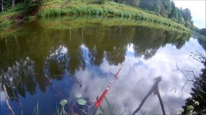 Отличная рыбалка на реке Плюсса, Псковской области.