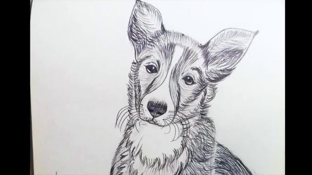 Галерея скетчей 2: Коты ? и щенки смотреть онлайн