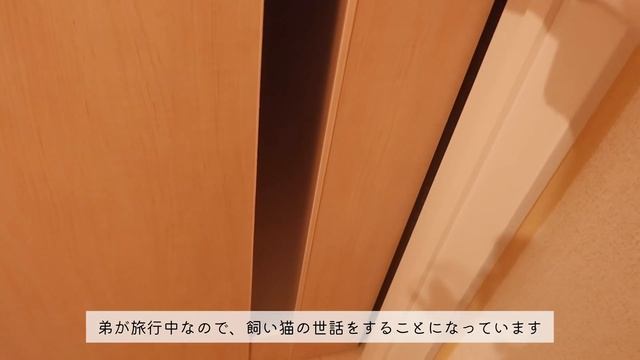 【Costco】コストコ購入品と帰宅後ルーティン?✨４日間のvlog／最近の購入品／How to store and cook Costco ingredients смотреть онлайн