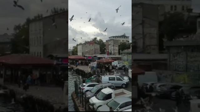 Стамбул. Галатский мост/ Galata bridge/#galataköprüsü смотреть онлайн