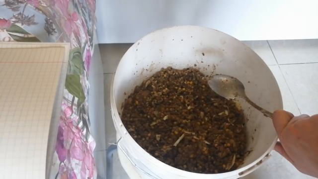 Подготовка уток к яйцекладке: дрожжевание корма, красный перец, препараты от глистов смотреть онлайн