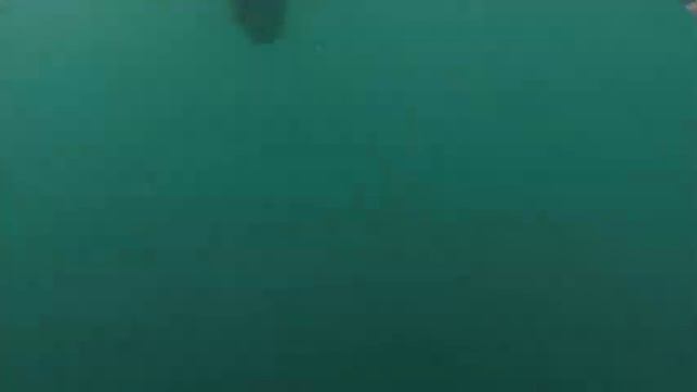 Солнце море лето смотреть онлайн