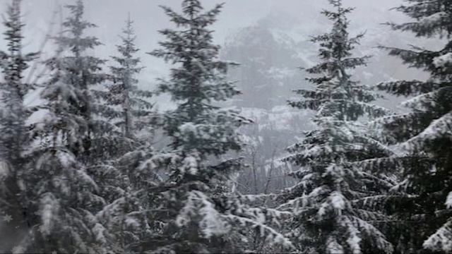 Chris Rea - Driving Home For Christmas | Sped Up |