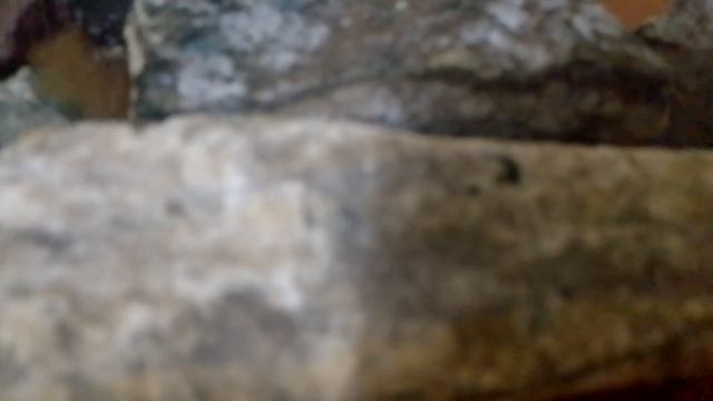 91 Непрогляд от темных сил и любых смотреть онлайн