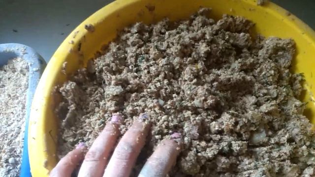 Корм для утят )