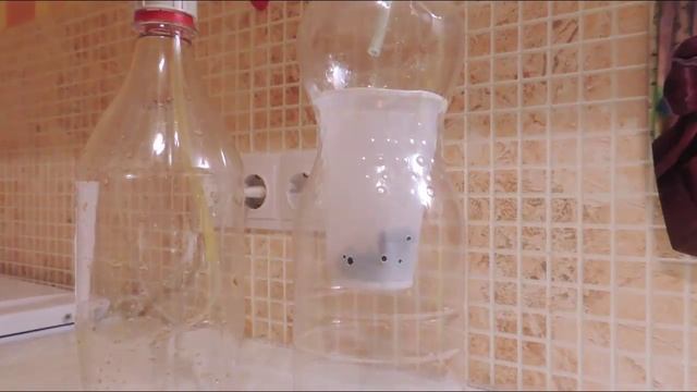 Система подачи СО2 в аквариум своими руками "Сухая сода" смотреть онлайн