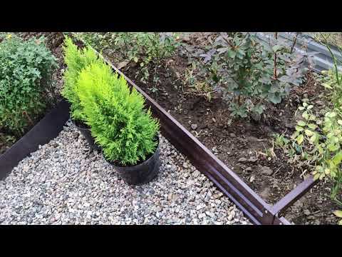 Осенние хлопоты.Как облегчить жизнь в огороде. Новые грядки. Закупила торф. Пересадка клубники. смотреть онлайн