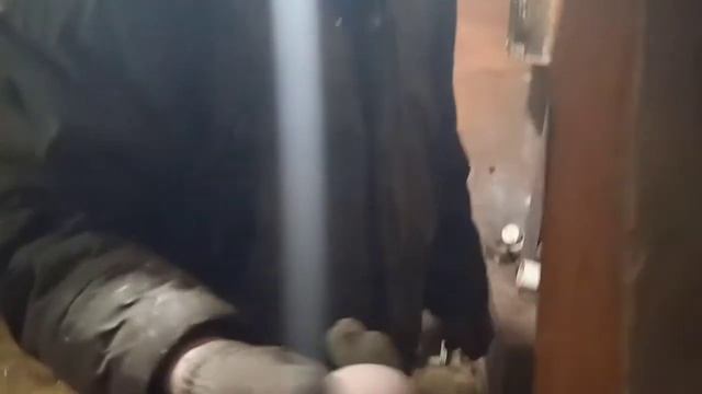 Подарки на старый новый год! первое яйцо, первый проклев в инкубаторе, поздравление Деда Мороза. смотреть онлайн