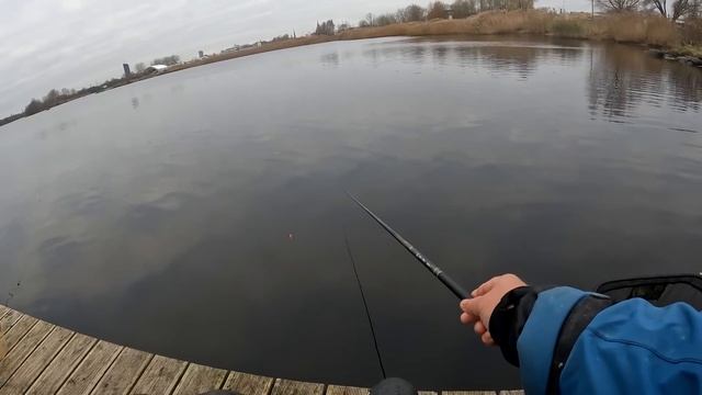 Зима осень продолжается, но это не повод сидеть дома, отчёт №276