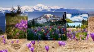 Если в окно лучиком весна Бесплатный проект для Proshow Producer