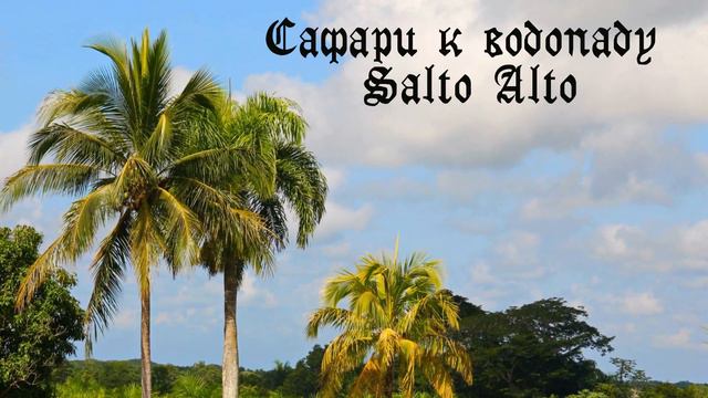 Доминикана 2021 смотреть онлайн