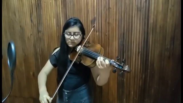Merry go round of life - Violin Cover смотреть онлайн