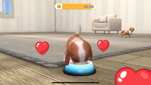 My Dog: Pet Dog Game Simulator (by Boltrend Games) IOS Gameplay Video (HD) смотреть онлайн