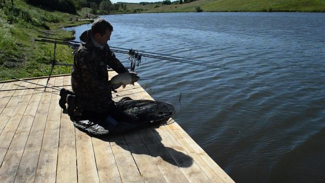 Отличный клев карпа на пруду Разинский 16-17 июня смотреть онлайн