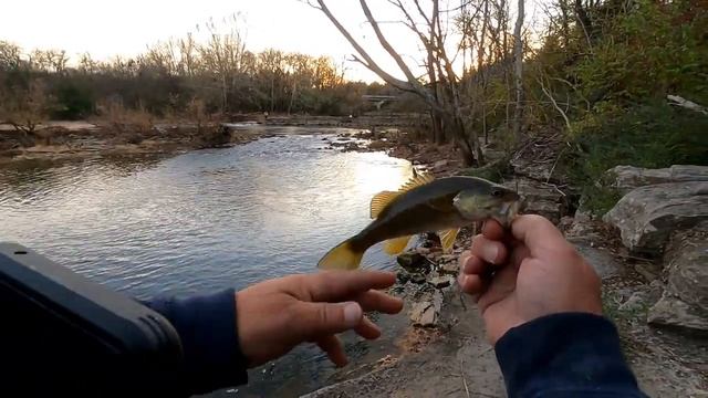 Smallmouth Bass Using Berkley Gulp Angleworms смотреть онлайн