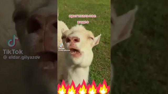 Вы мне не интересны 😂 смотреть онлайн