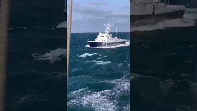 вмф смотреть онлайн