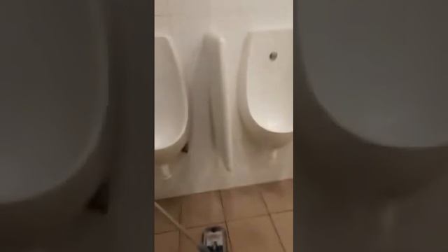 Совок в туалете Леруа Мерлен. смотреть онлайн