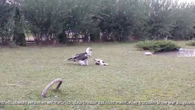 Kazakhstan 2019 – 42