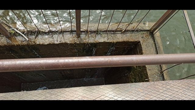 Озеро у д.Вертники. Рыбалка. Видеосюжет. смотреть онлайн