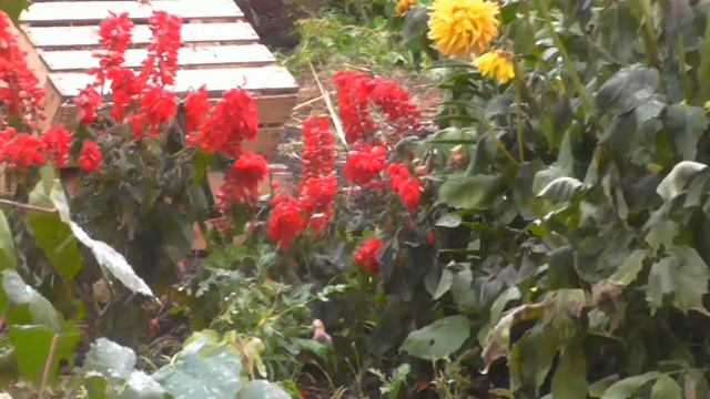 ПЕРВЫЙ СНЕГ/В БАШКИРИИ ПЕРВЫЙ СНЕГ/В БАШКИРИИ ПОШЕЛ СНЕГ смотреть онлайн