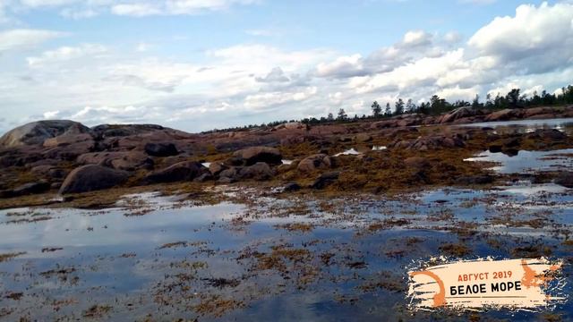 Белое море (Республика Карелия) август 2019 года смотреть онлайн