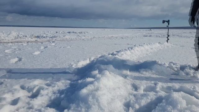 Тест шуруповёрта Wosai