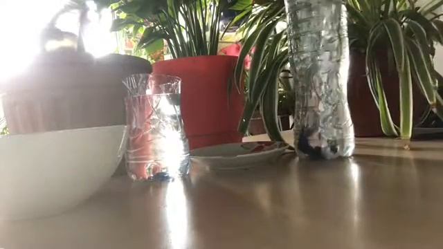 Автопоилка Для Цветов. Если у вас есть цветы дома, не уезжайте на отдых не посмотрев это видео смотреть онлайн