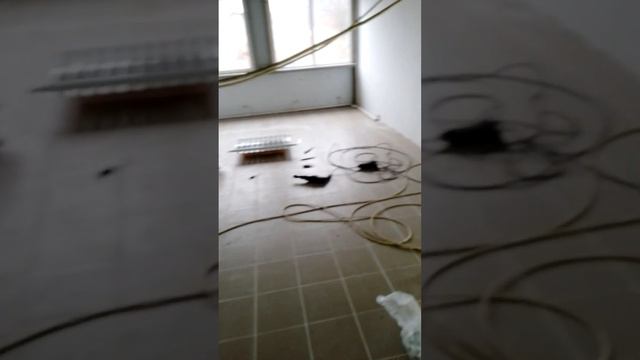 Рус- Строй смотреть онлайн