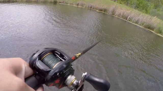 Fishing New Frogs! (Crazy Topwater Action) смотреть онлайн