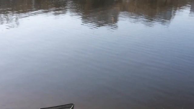 Братеево, было трудно но мы справились смотреть онлайн