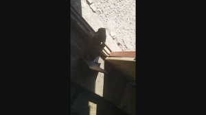 Снятие и ремонт зеркала заднего вида Хендай Гетц