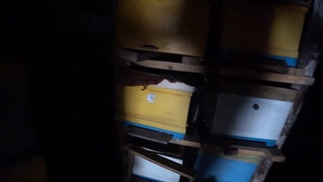 Зимовка в омшаннике. Вентиляция в ульях смотреть онлайн