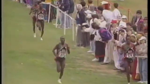 1993 Mens World Cross Country Championships