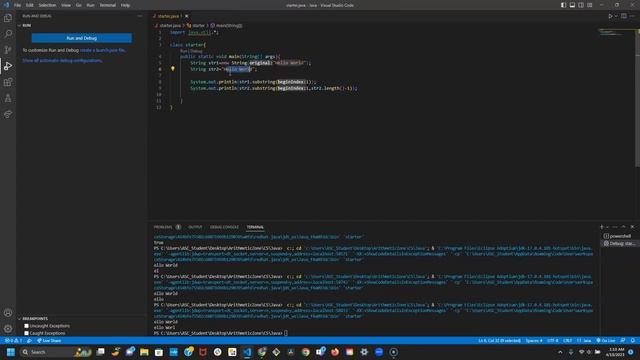 Simple Java Part III: String Class смотреть онлайн