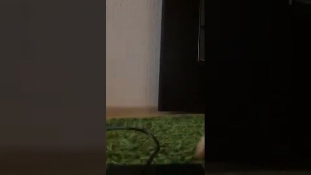 Обзор моего гироскутера