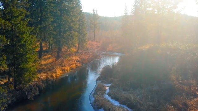 Золотая осень в Сибири. Байкал. Видео с дрона.Baikal. Golden autumn in siberia. drone video смотреть онлайн