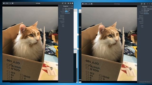 Hiding Files In Images - Kali Tutorial Steganography смотреть онлайн