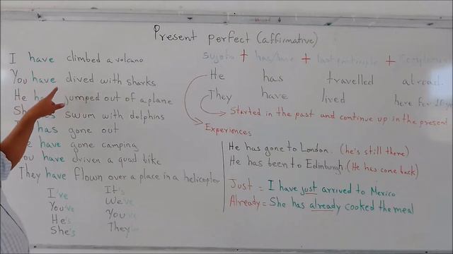 Present perfect affirmative смотреть онлайн