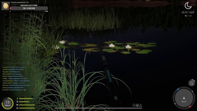 Овсяная каша на оз.Комариное #Русскаярыбалка 4