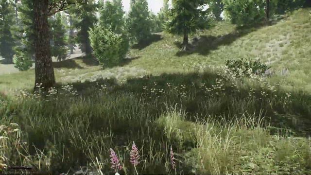 Tarkov, жизнь после вайпа...хомяк плачет... смотреть онлайн