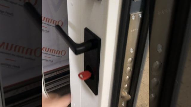 Современная термодверь для коттеджа. #уличныедвери #дверьдлязагородногодома смотреть онлайн