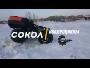 Квадроцикл Сокол проедет везде!