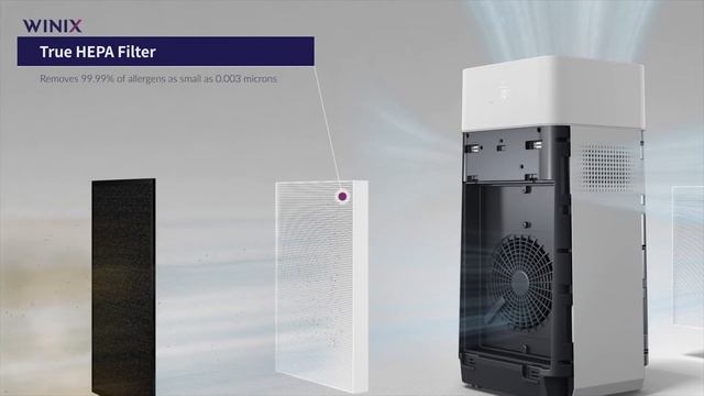 WINIX XQ Dual 4-Stage True HEPA Air Purifier with WiFi & PlasmaWave® Technology смотреть онлайн