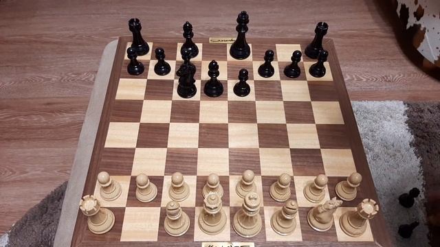 Шахматы. Разбор лучшей ловушки во французской защите. Хитрый ход конем. смотреть онлайн