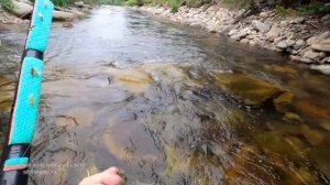 Тест Мушек. Влияет ли Точка Атаки на Поклевки? Ручей с Огромными Хариусами!